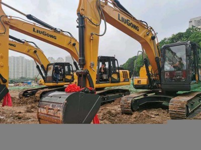 威猛先生蓝月亮哪个好（威猛先生好还是蓝月亮好）