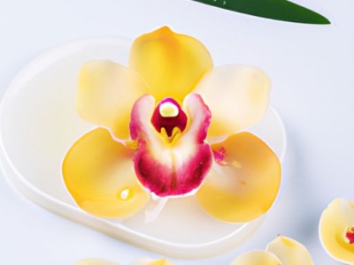 闭孔泡沫板及闭孔泡沫板图片