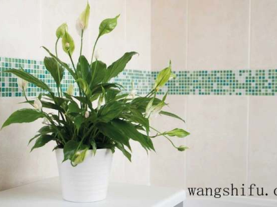 夫妻离婚后房贷谁还