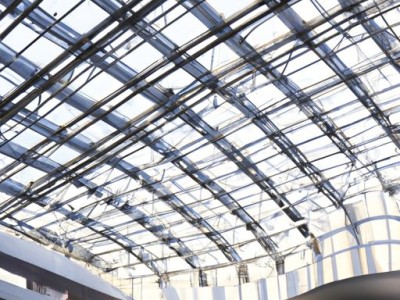 白斑玉露（白斑玉露多肉怎么养）