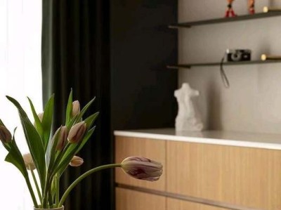 铜线草（铜钱草的功效和作用）