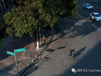 紫藤花（紫藤花的花语和寓意）