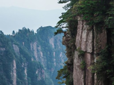 鸡血石原石价格多少钱一克？鸡血石的特点和价值是什么？