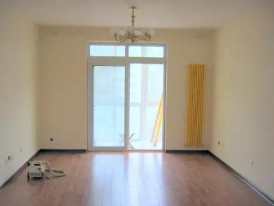 田野罂粟（田野罂粟花）