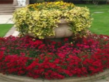 花台设计怎样好看的