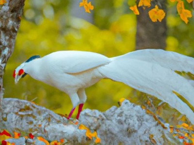 哪个地方的瓷砖便宜又好？推荐4个购买地点