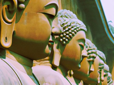 佛手哪个地方的最好？佛手哪里的最好？