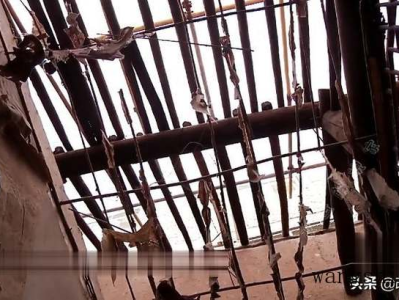 啤酒放在冰箱哪个位置最合适？