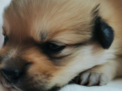 厦门岛外哪个楼盘最好（厦门岛外哪个楼盘最好卖）