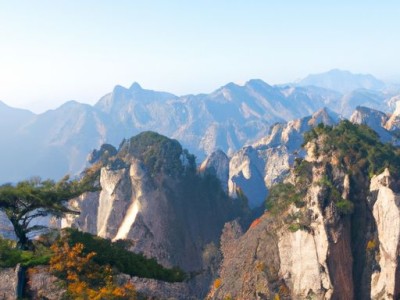 冯峰个人资料简介