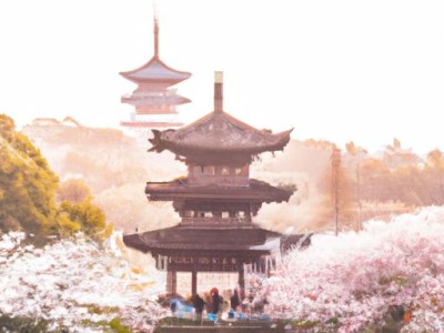 樱花卫浴是几线品牌？打造高品质卫浴生活