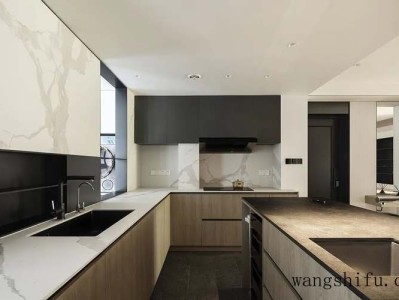 印度橡皮树（印度橡皮树图片）