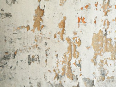 多乐士墙面漆含有甲醛吗？