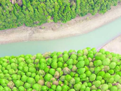 吧椅图片：让你的家居变得更加时尚