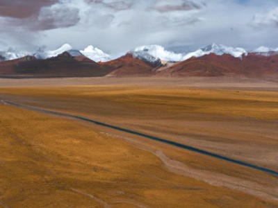 飞美地板——打造高品质地板的专业品牌
