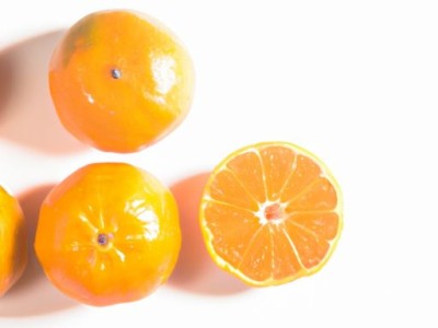 加拉帕戈斯象龟：世界上最大的陆龟