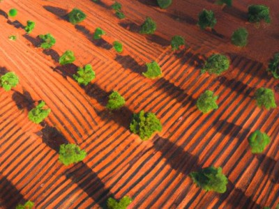 土地的分类及土地的分类有哪些