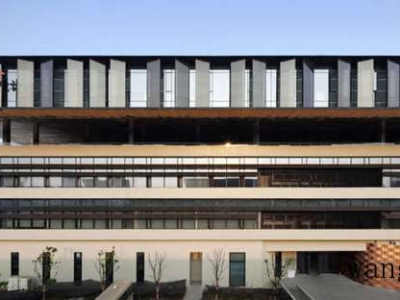 月兔耳（月兔耳的养殖方法和注意事项）