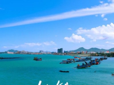 海尔跟美的哪个大？海尔和美的哪个大？