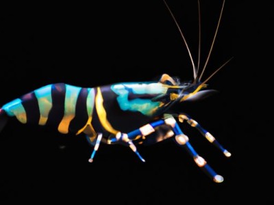 企一和雷士牛眼灯哪个好？企一和雷士射灯哪个好？