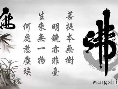 液体壁纸和壁纸哪个好