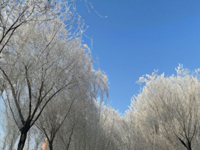 沈阳和吉林哪个冬天冷？