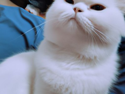 床头朝东是哪个方向及床头朝东哪个方向好旺财