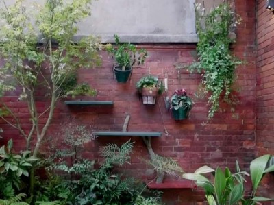 冰箱结冰怎么办（冰箱结冰怎么办?教你一招快速解决视频）