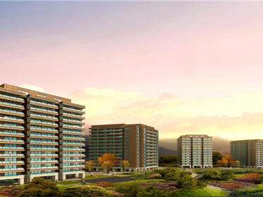 全款买房落户要多久