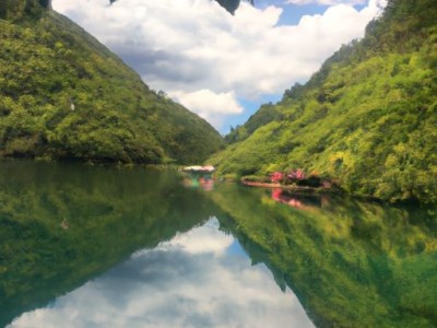 蓝藤卫浴（蓝藤卫浴属于几线品牌）