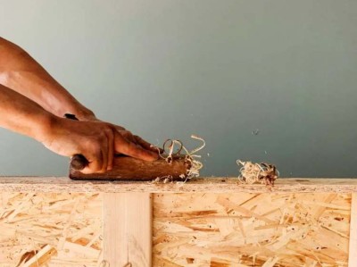 六道木和九道木哪个贵（六道木和九道木哪个贵些）