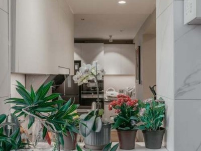 migo和乐扣乐扣哪个好（乐扣乐扣和vanow哪个好）