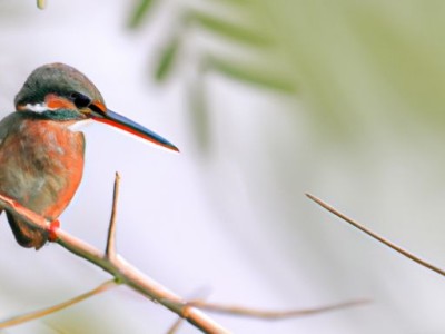 采暖期及采暖期是几月到几月？