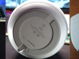 大花萱草（大花萱草图片）