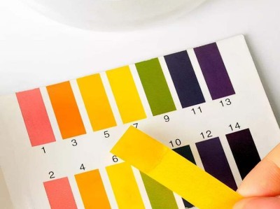 轻质砖和红砖哪个更贵？