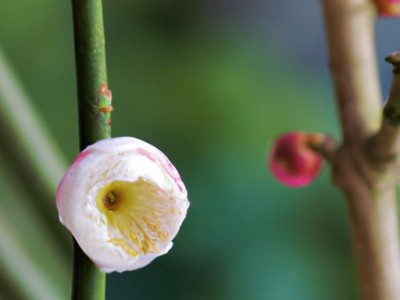 西安旧房粉刷顶面刷白