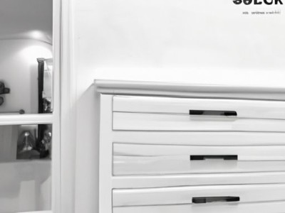 柯基论坛及柯基论坛体的发展与特点