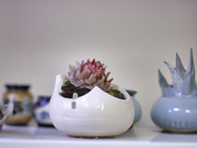 龙纹石的功效与作用：从四个方面全面解析