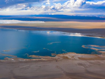 巴西木的养殖方法和注意事项