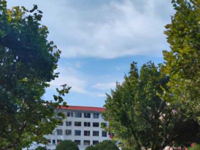 美大和科大集成灶哪个好？哪个品牌的集成灶更值得购买？