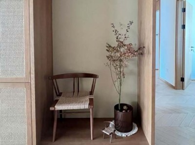 大叶落地生根（大叶落地生根为什么不吉利）