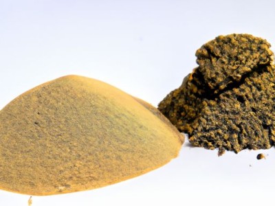 陶粒和石子哪个价格高？