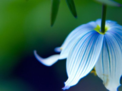 铝天花及铝天花吊顶的特点和应用
