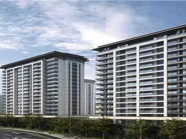 法拍房可能有哪些特殊情况