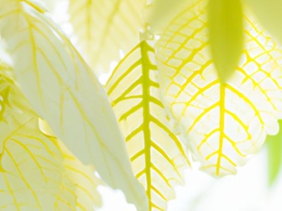 百叶帘及百叶帘价格多少一平方