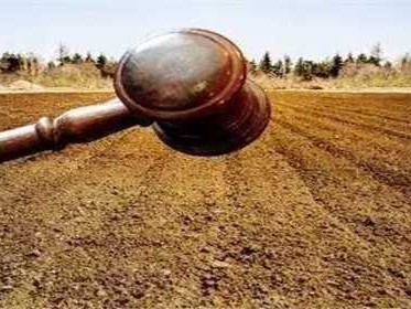 土地拍卖信息从哪里看