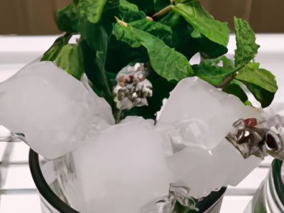 冬季使用冰箱应该选择哪个档位？