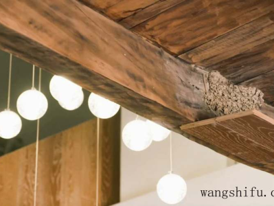 华硕和联想笔记本哪个好（华硕和联想笔记本哪个好一点）