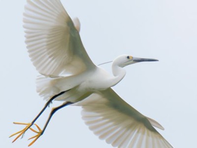 家里衣柜推拉门好还是对开门好