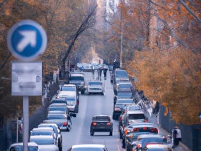 四海波（四海波多肉）